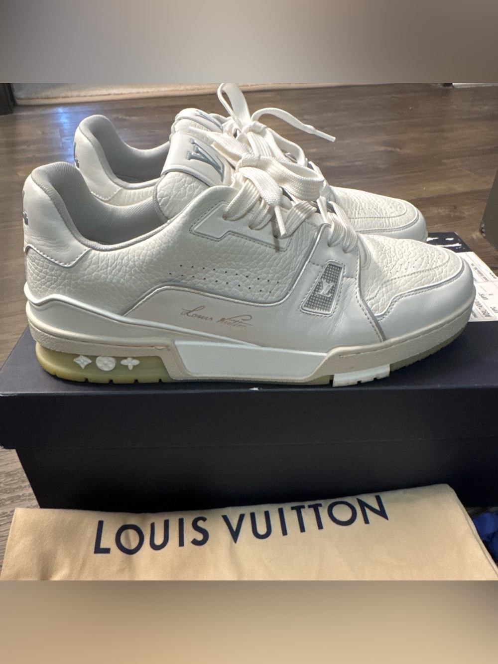 Louis Vuitton LV Trainers
